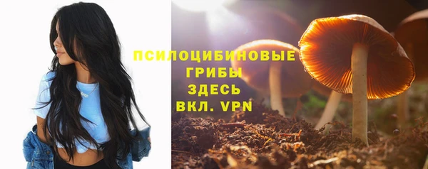 каннабис Белокуриха