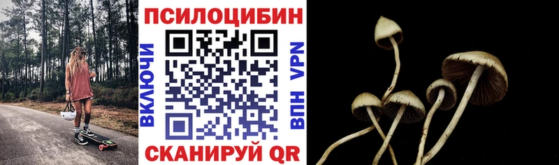 Псилоцибиновые грибы мицелий  купить  цена  Горняк 